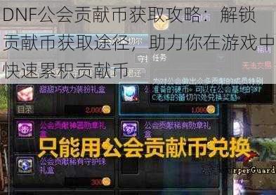 DNF公会贡献币获取攻略：解锁贡献币获取途径，助力你在游戏中快速累积贡献币