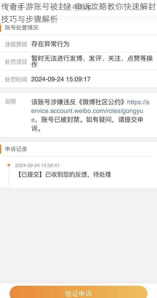 传奇手游账号被封？申诉攻略教你快速解封技巧与步骤解析