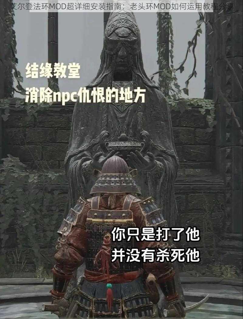 艾尔登法环MOD超详细安装指南：老头环MOD如何运用教程分享