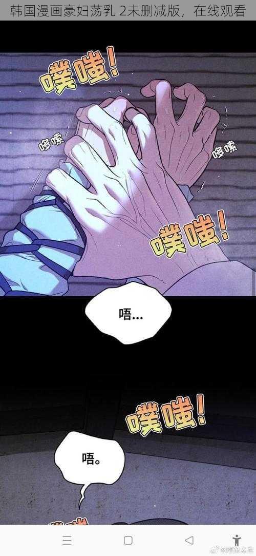 韩国漫画豪妇荡乳 2未删减版，在线观看