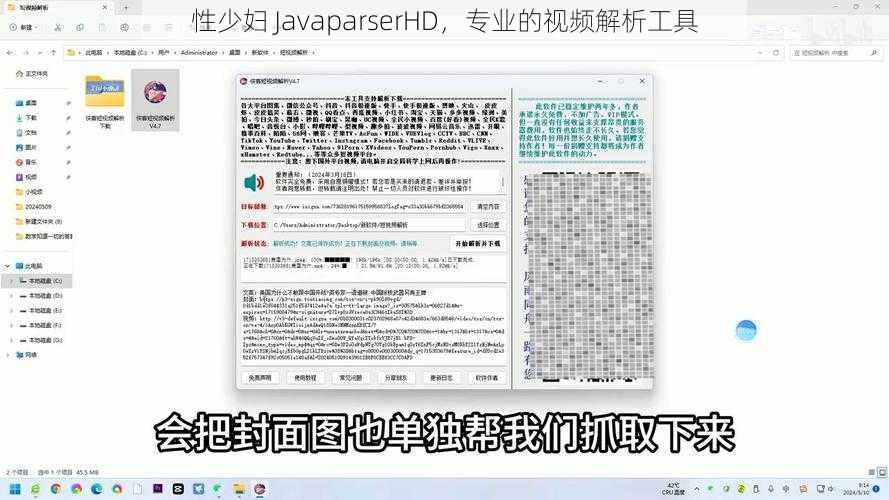 性少妇 JavaparserHD，专业的视频解析工具