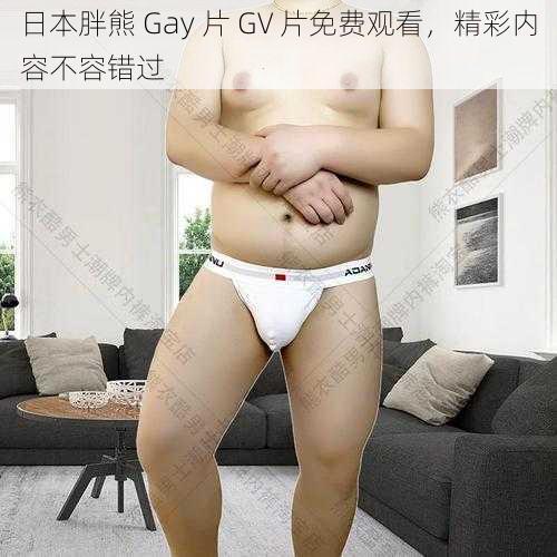 日本胖熊 Gay 片 GV 片免费观看，精彩内容不容错过