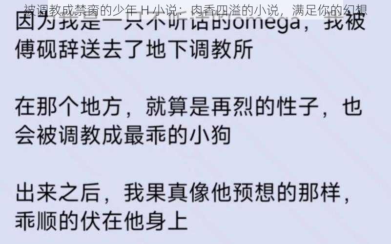 被调教成禁脔的少年 H 小说：肉香四溢的小说，满足你的幻想