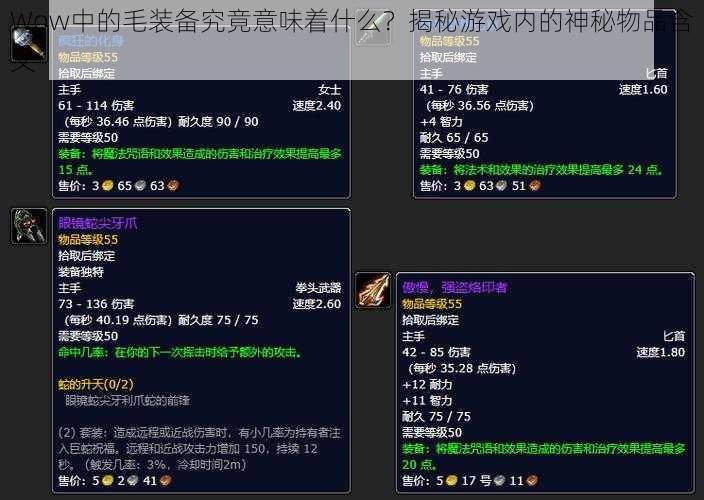 Wow中的毛装备究竟意味着什么？揭秘游戏内的神秘物品含义