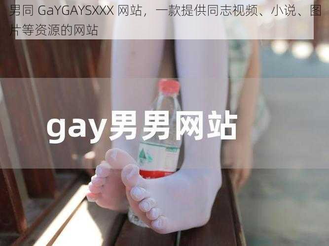 男同 GaYGAYSXXX 网站，一款提供同志视频、小说、图片等资源的网站