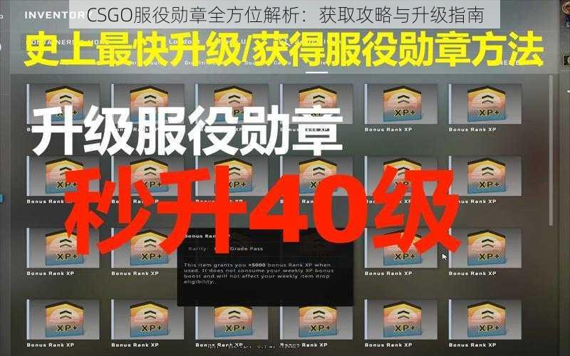 CSGO服役勋章全方位解析：获取攻略与升级指南