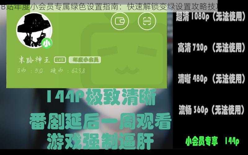 B站年度小会员专属绿色设置指南：快速解锁变绿设置攻略技巧大解密